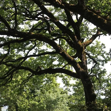 Country House Selva Hotel Grutti