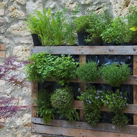 Country House Selva 3*